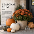 Seasonal Mum Add-On